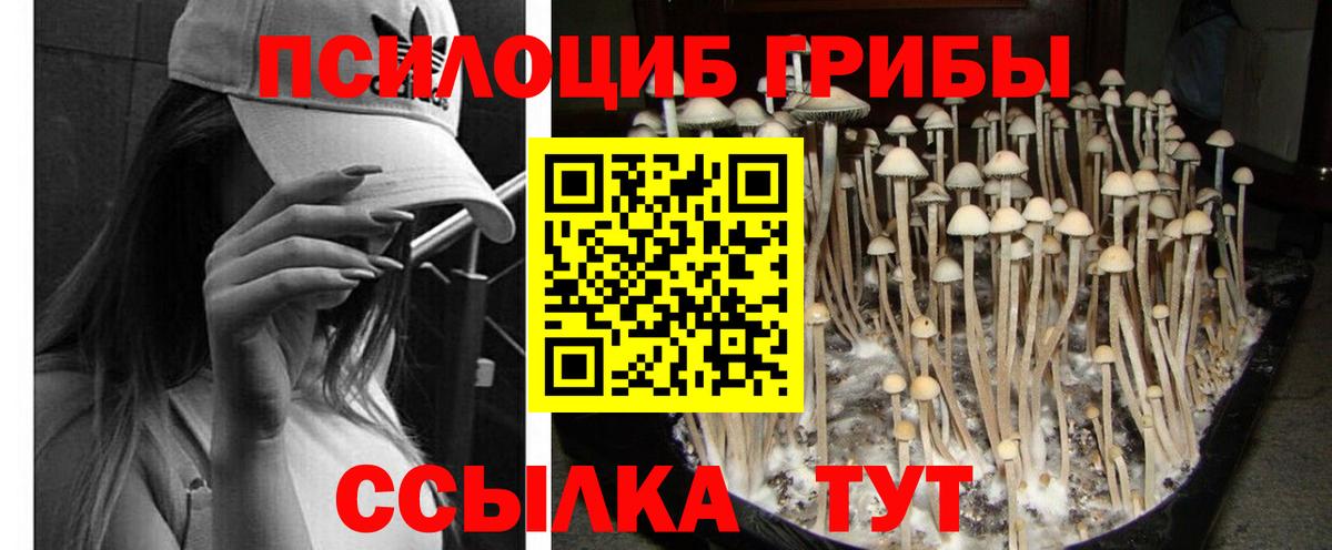 Галлюциногенные грибы Magic Shrooms Большой Камень