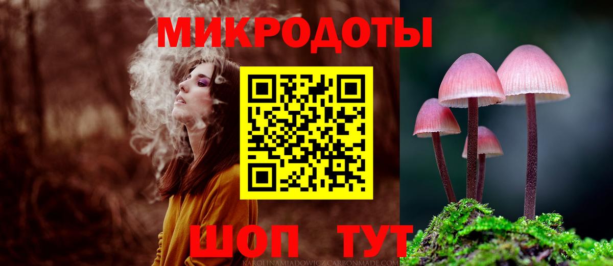 Большой Камень  Псилоцибиновые грибы Psilocybe  Вход с VPN 